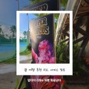 골드엔터테이먼트 | 괌 pic 서커스 공연 골드패스 관람 후기