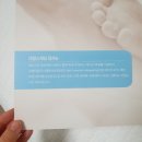 니프티검사 결과 저위험군 통과!