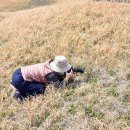 의령 운곡리 고분군 이미지