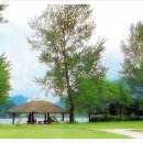 그늘집 민박 이미지