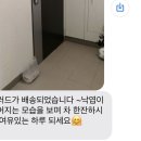 샐리앤샌디