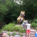 어룡초교 이미지