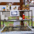 주왕산 관광지 | 주왕산 여행 중 발견한 찐맛집, 청송 원조신촌식당 닭불백숙 솔직 후기