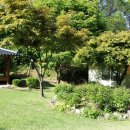 어답산농장 이미지