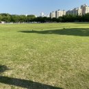 분당구청 앞 문화의 거리 이미지