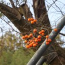 감쪽같이 이미지