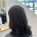 보스헤어 네이버블로그