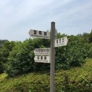 해송낚시