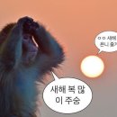 (주) 로그 이미지