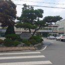 삽교읍행정복지센터 이미지