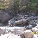 섬진강어울펜션 이미지