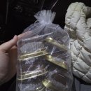 태평중앙2길 | 2월 말~3월 초 일상기록(청모, 두바이 이슈, 결혼준비 막바지)