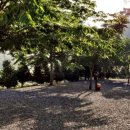 무릉도원면-41 이미지