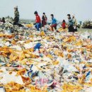 세계최대의 쓰레기산에서 생태환경공원으로 변모하다 이미지