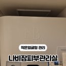 나비잠 피부관리실