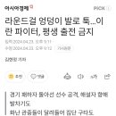 라운드걸 엉덩이 발로 툭...이란 파이터, 평생 출전 금지 이미지