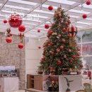 팔당카페 | 한강뷰 크리스마스 감성카페, 남양주 봉주르팔당 솔직 후기 (가격, 포토존, 눈썰매장까지!)