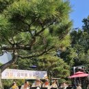 힐링 오카리나 | 우쿨렐레|오카리나|팬플루트 제6회 정기연주회 “가을, 음악에 물들다” 후기 🎶