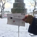 한림목장 이미지