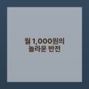 뜻밖의 발견 이미지