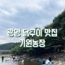 기원농장 | 광양계곡 평상대여 온 가족 휴가 추천 닭구이 맛집 기원농장