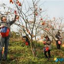 운곡허브 이미지