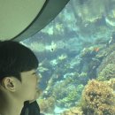 늦은 6월 오키나와 여행후기