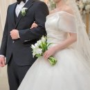드레스샵바인 | 내돈내산 | 대전 웨딩드레스샵 추천👰🏻 | 아이린웨딩 | 시작바이이명순 드레스 최종 셀렉 후기