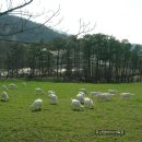 어울림B 이미지