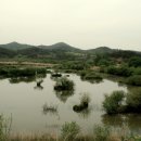 도천리 공룡 발자국 이미지