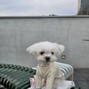 낫배드커피