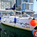 아그리나 B 이미지