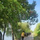 인터벌워킹 크루 이미지