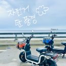 자전거탄풍경 | [울릉도 여행] 자전거 탄 풍경 : 전기 스쿠터 솔직 대여 후기
