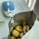 세븐일레븐 대전관저점