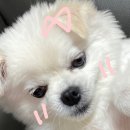 안남로 181 네이버블로그