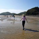 목기미해변 네이버블로그