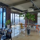 삼천포최옥순물회 이미지