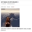 모니터 144hz 쓰는애들은 호구냐? 이미지