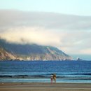 엘크레인 이미지