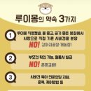 온순한 | 제주도시바견입양후기 : 온순한 크림시바견성격 덕분에 행복해졌어요