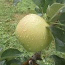 병규농장 이미지