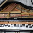 세화로168번길 이미지