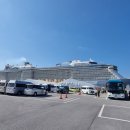 금산재래시장거리 | 오키나와 나하 국제거리 재래시장 로얄캐리비안 크루즈 기항지 자유여행 후기