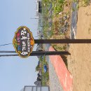 슬기네농장 이미지