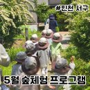나비 한살이 | 5월 숲체험 프로그램 나비 한살이