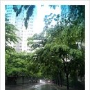 낙성대동-8 이미지