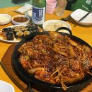 비제이먹방 | 대전현지인추천 내돈내산 대전막장집 4번째방문후기