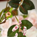 네일 트렌드 따라잡기 이미지