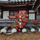 안동카태화세차장 | 안동대구 2박3일 여행이야기 | 안동쏘카후기 | 찜닭 | 하회마을 구경 | 구공스테이 태화 | 아침엔 국밥